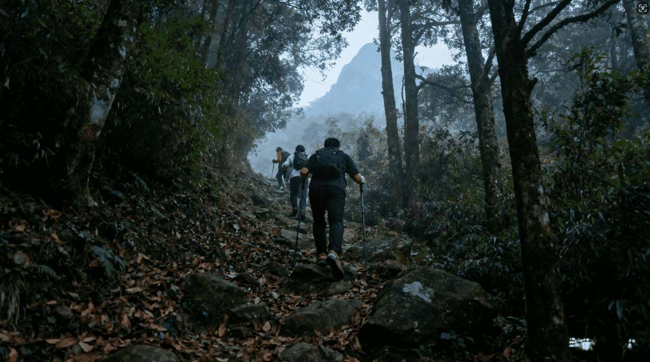 如何快速稳定地下载手游黑洞加速器全攻略与方法